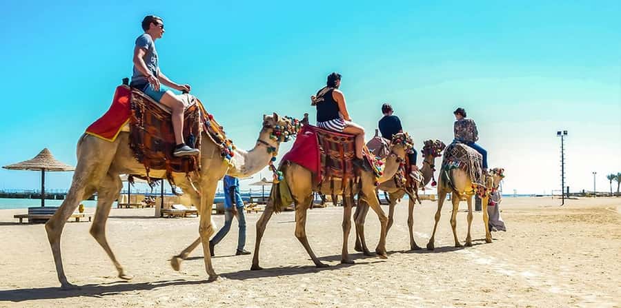 Marsa Alam: Sea and Desert Camel Riding Tour - Getting comfortable before the two-hour ride