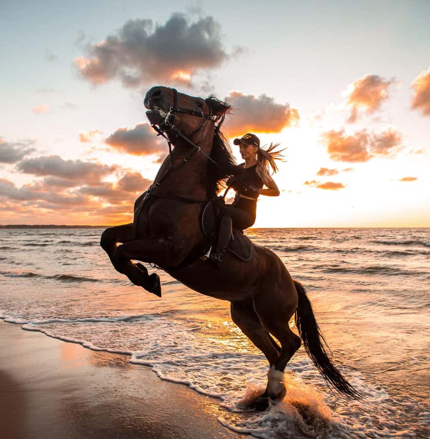 Marsa Alam: Sea and Desert Horse Riding Tour - Key points to know before you book