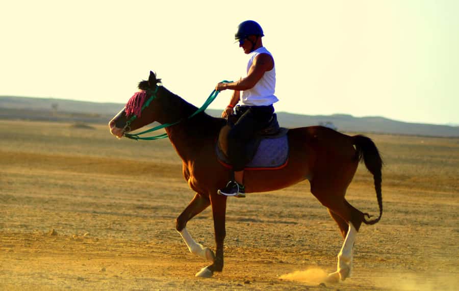 Marsa Alam: Sea and Desert Horse Riding Tour - Price, value, and who should choose which option