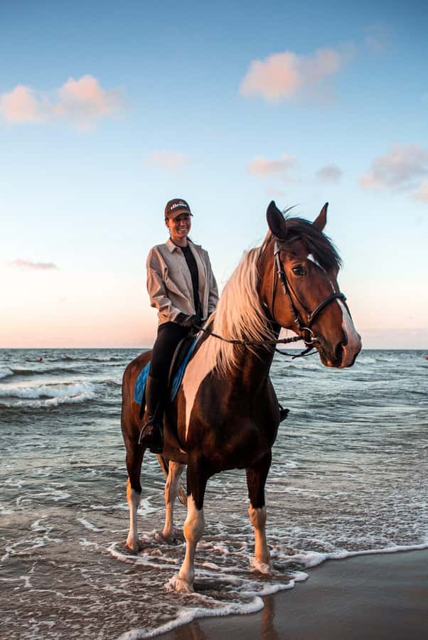 Marsa Alam: Sea and Desert Horse Riding Tour - What the two-hour route feels like