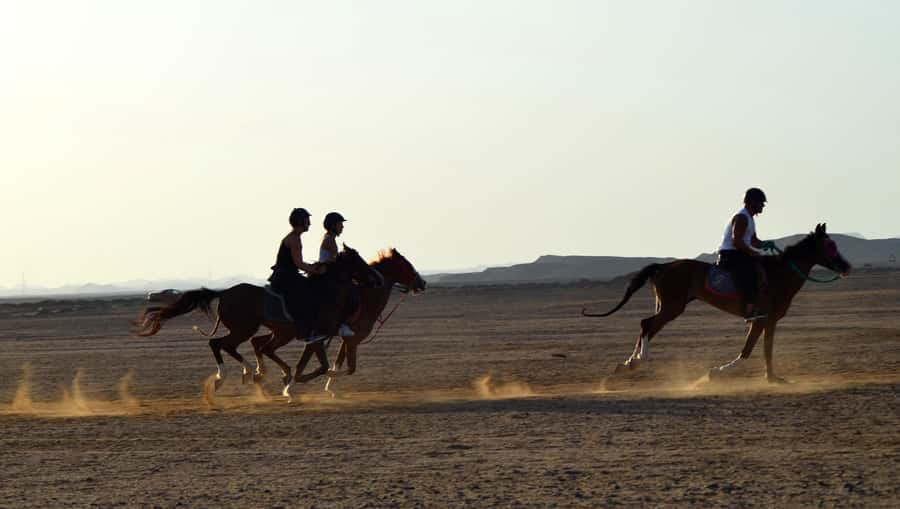 Marsa Alam: Sea and Desert Horse Riding Tour - The four-hour VIP ride and sea swim