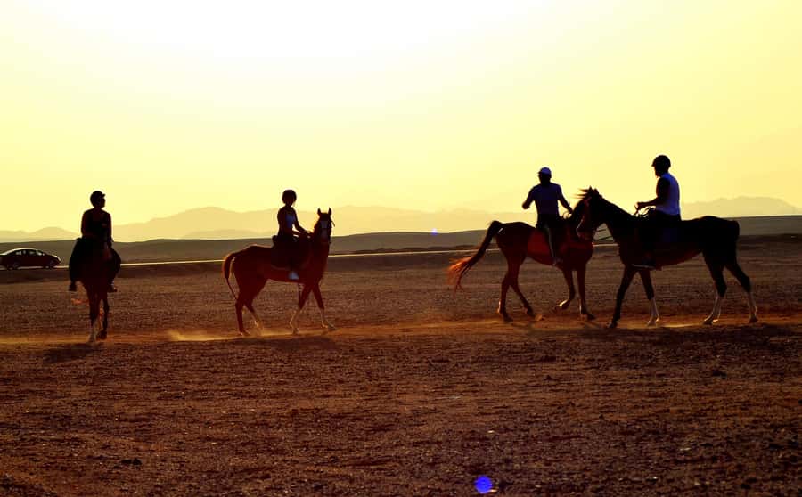 Marsa Alam: Sea and Desert Horse Riding Tour - Hotel pickup from Coraya Bay, Port Ghalib, and Marsa Alam