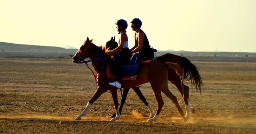 Marsa Alam: Sea and Desert Horse Riding Tour - Meeting the horses and checking your riding level