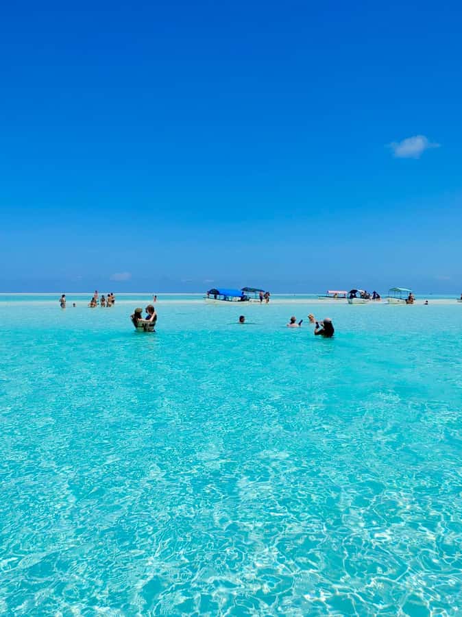 Matemwe: Mnemba Island Dolphin & Snorkeling Boat Trip - Starting at Matemwe Beach