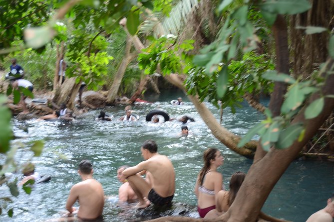 Materuni waterfalls coffee tour & Chemka hot springs Day trip - What the private format changes