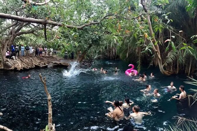 Materuni waterfalls coffee tour & Chemka hot springs Day trip - Is $95 a fair price?
