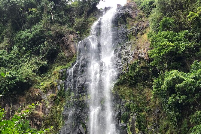 Materuni waterfalls coffee tour & Chemka hot springs Day trip - Who will enjoy this day trip most
