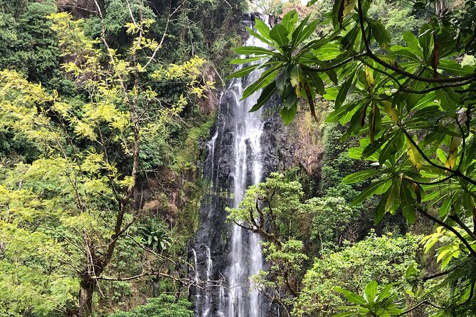 Materuni waterfalls coffee tour & Chemka hot springs Day trip - Practical ways to prepare