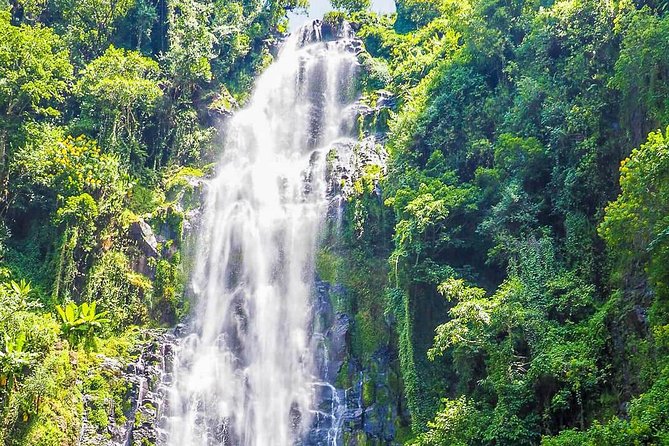 Materuni Waterfalls & Coffee Tour from Moshi - From Moshi to Materuni village