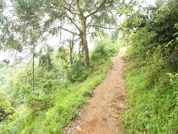 Materuni Waterfalls & Coffee Tour from Moshi - Lunch, guides, and the private format