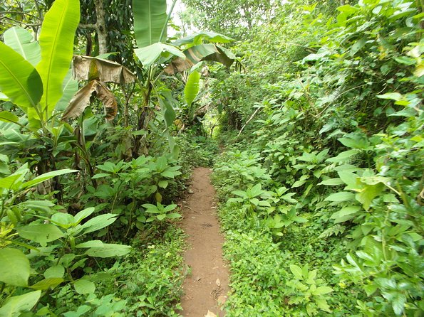 Materuni Waterfalls & Coffee Tour from Moshi - Is $60 a fair price?