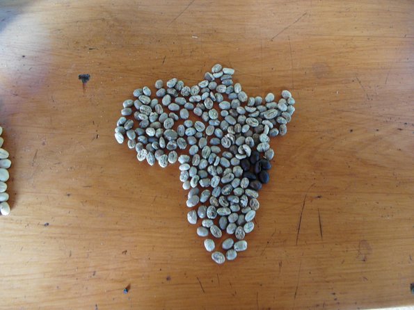 Materuni Waterfalls & Coffee Tour from Moshi - Who will enjoy this outing most?