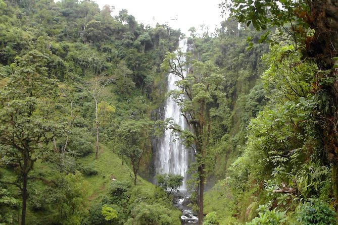 Materuni Waterfalls & Coffee Tour from Moshi - Practical details for a smoother day