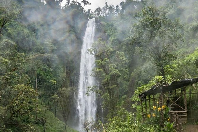 Materuni Waterfalls, coffee tour & Kikuletwa Hot Springs - Chagga coffee from bean to cup