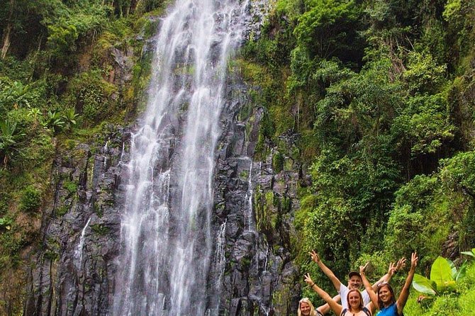Materuni Waterfalls, coffee tour & Kikuletwa Hot Springs - What your guide adds to the experience