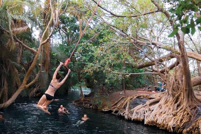 Materuni Waterfalls, coffee tour & Kikuletwa Hot Springs - Who should book this experience?