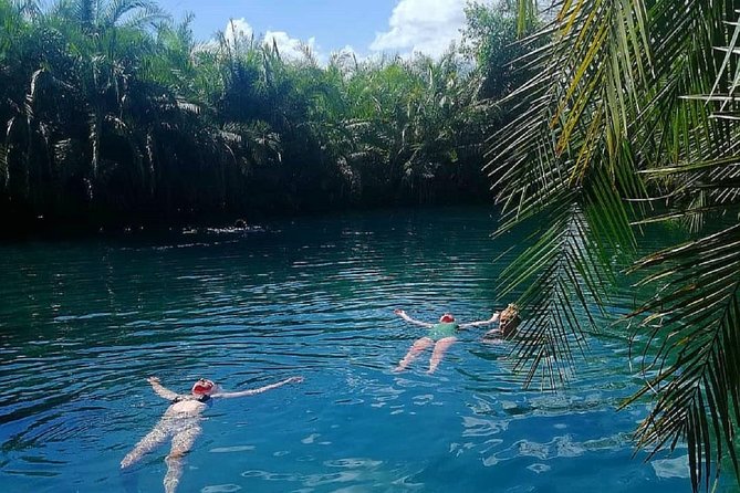 Materuni Waterfalls, coffee tour & Kikuletwa Hot Springs - Materuni Waterfalls and the cold plunge