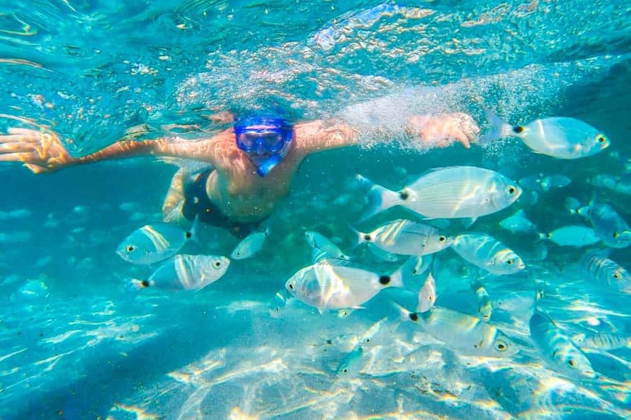 Mauritius: 5 East Coast Islands Tour with Snorkeling & Lunch - Is the $85 price good value?