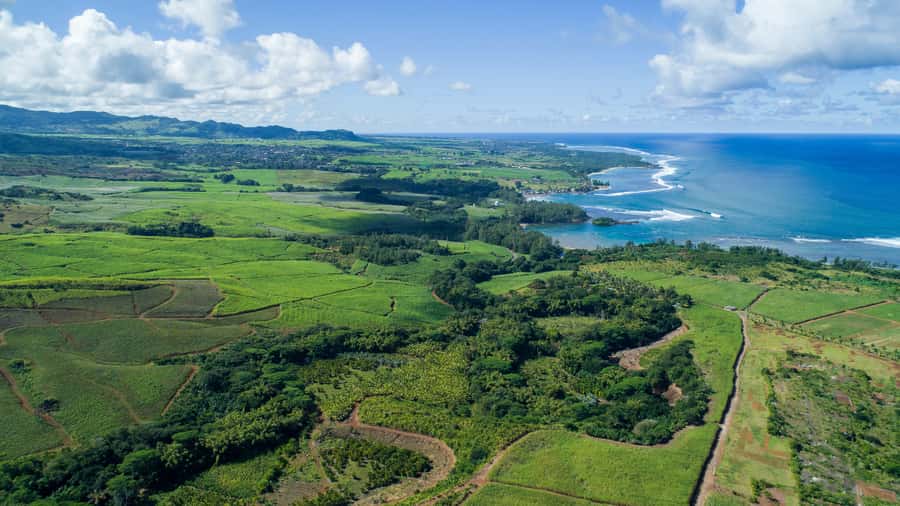 Mauritius: Bel Ombre Nature Reserve Quad Bike Tour - Riding into Bel Ombre Nature Reserve