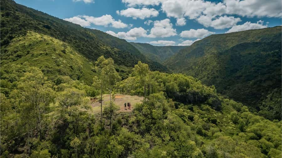 Mauritius: Black River Gorges National Park 3-Hour Hike - Steep climbs and quiet viewpoints