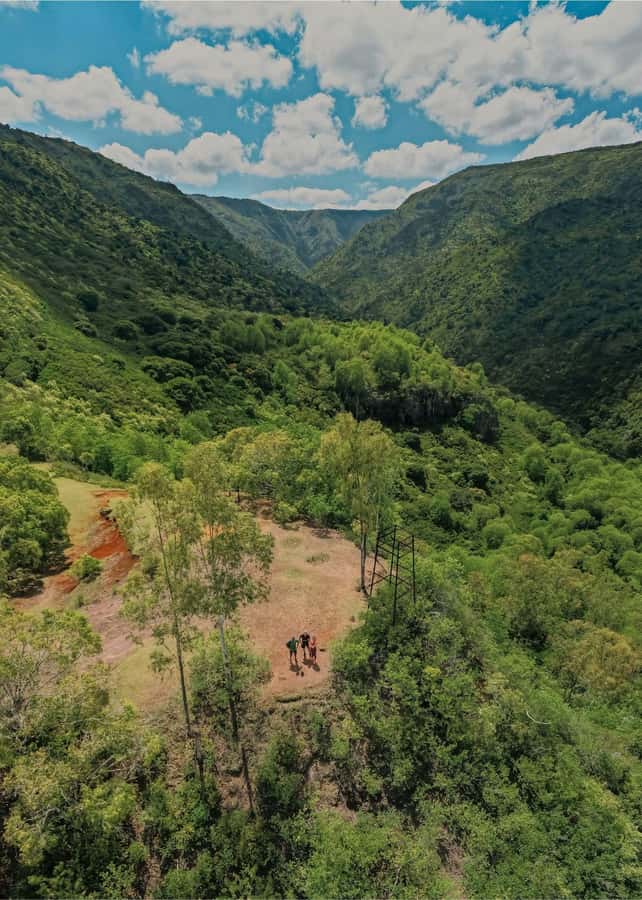 Mauritius: Black River Gorges National Park 3-Hour Hike - A river swim to finish the walk