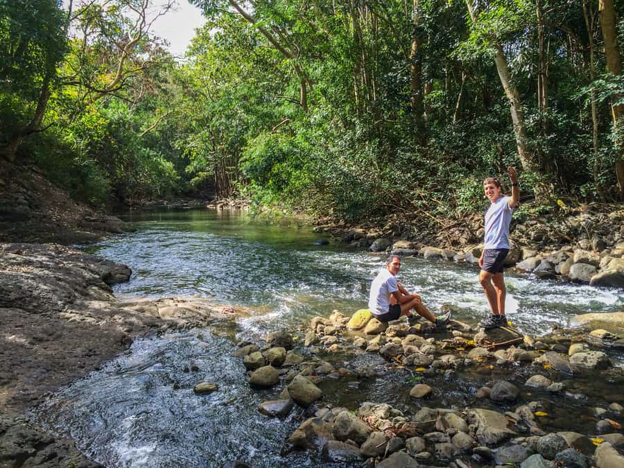 Mauritius: Black River Gorges National Park 3-Hour Hike - What the $64 price really covers