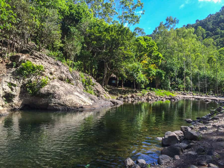 Mauritius: Black River Gorges National Park 3-Hour Hike - Choosing the right time and preparation