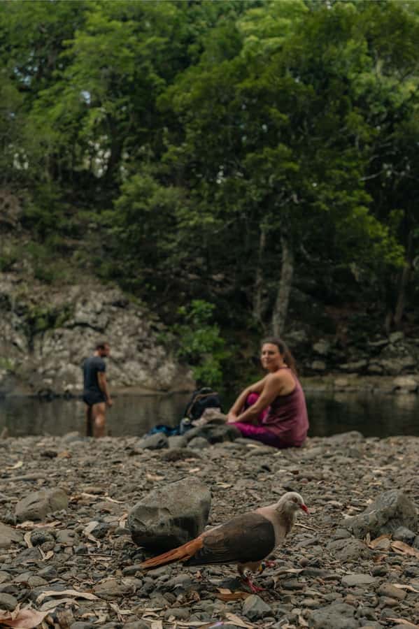Mauritius: Black River Gorges National Park 3-Hour Hike - Who will get the most from this hike