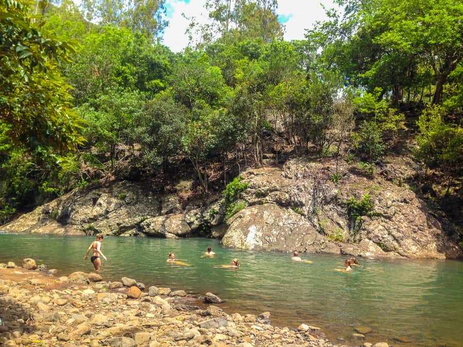 Mauritius: Black River Gorges National Park 3-Hour Hike - Should you book the Black River Gorges hike?