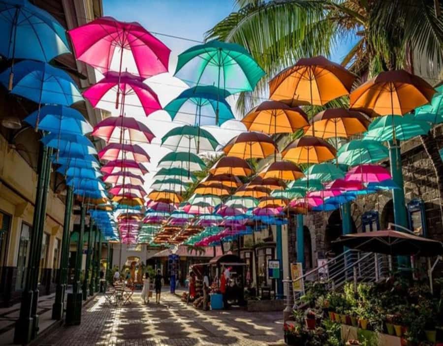 Mauritius: Customizable Private Tour by Car - Let your driver shape the route, not just drive it