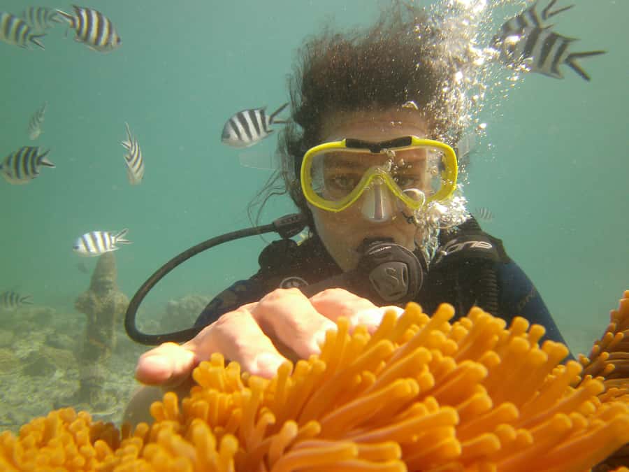 Mauritius: East Belle Mare Scuba Diving Tour - What the Belle Mare scuba experience is really like