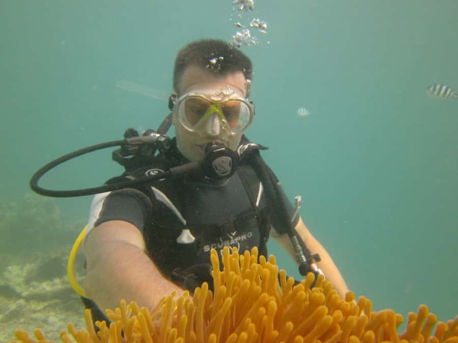 Mauritius: East Belle Mare Scuba Diving Tour - Coral, fish, and the possibility of an octopus