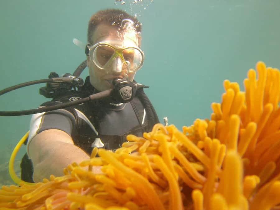 Mauritius: East Belle Mare Scuba Diving Tour - Equipment, comfort, and the level of luxury