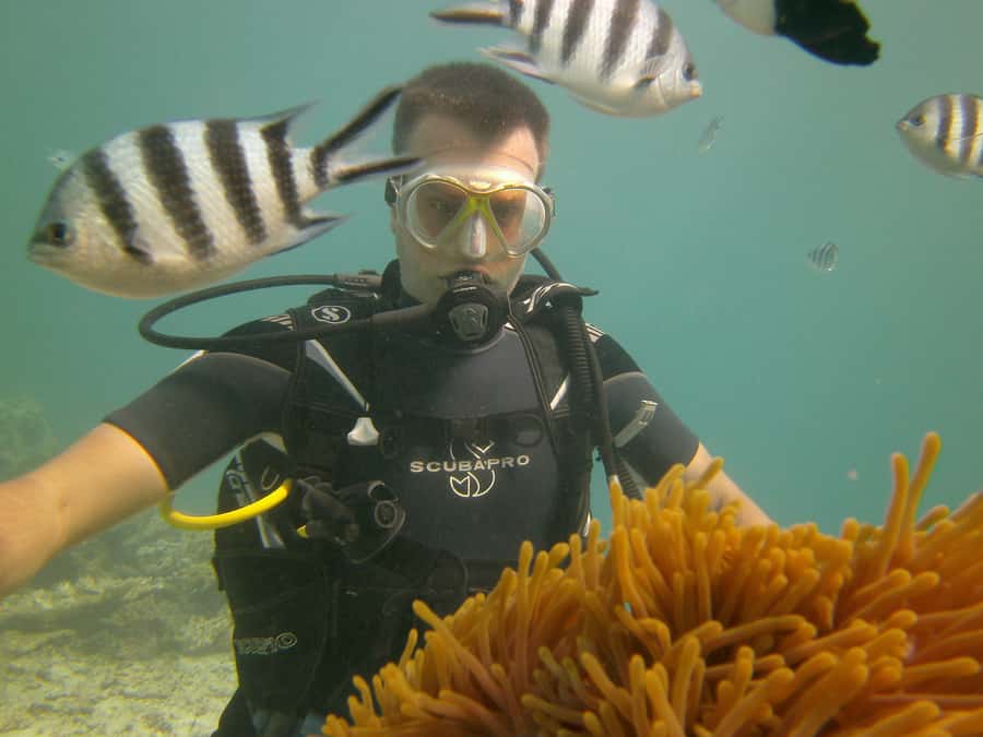 Mauritius: East Belle Mare Scuba Diving Tour - Is $158 a fair price?