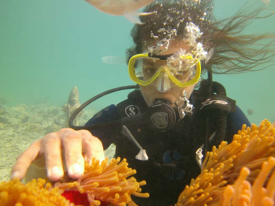 Mauritius: East Belle Mare Scuba Diving Tour - Who will enjoy this experience most?