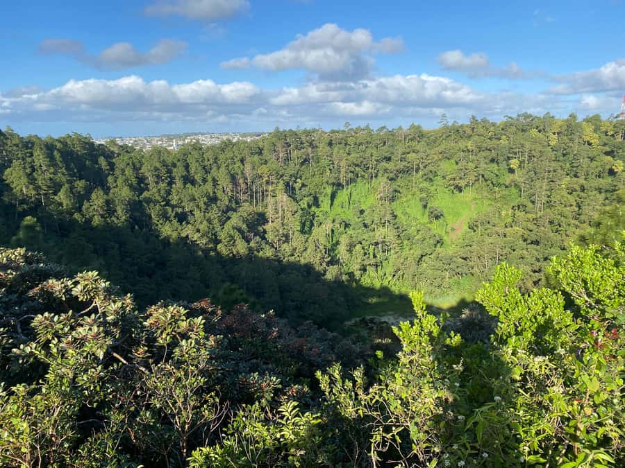 Mauritius: Exclusive South West Tour - Chamarel’s Seven Coloured Earths