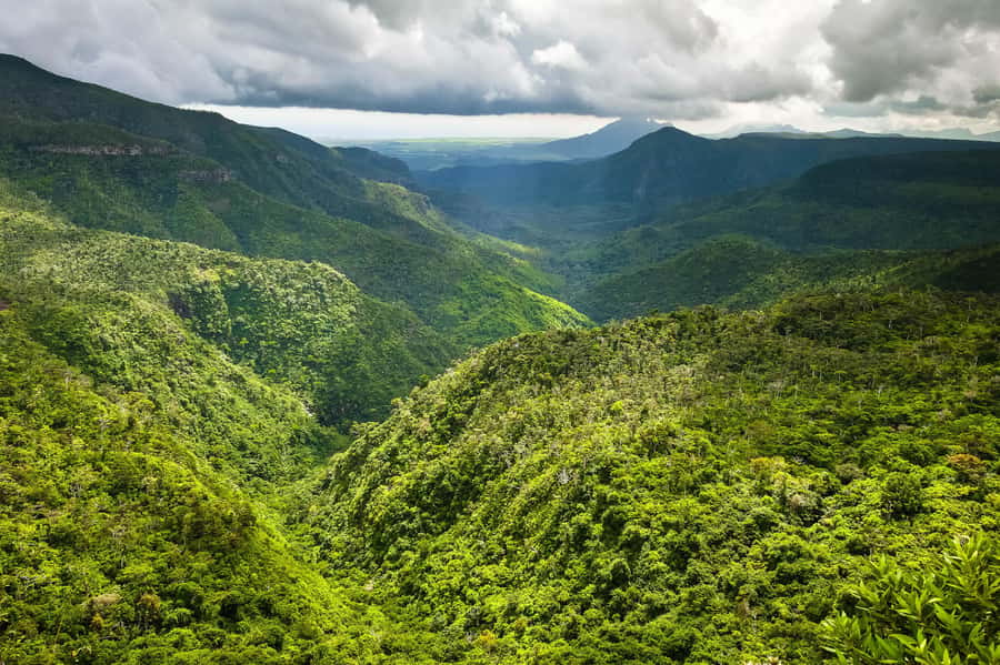 Mauritius: Exclusive South West Tour - Lunch, drinks, and the practical cost of the day