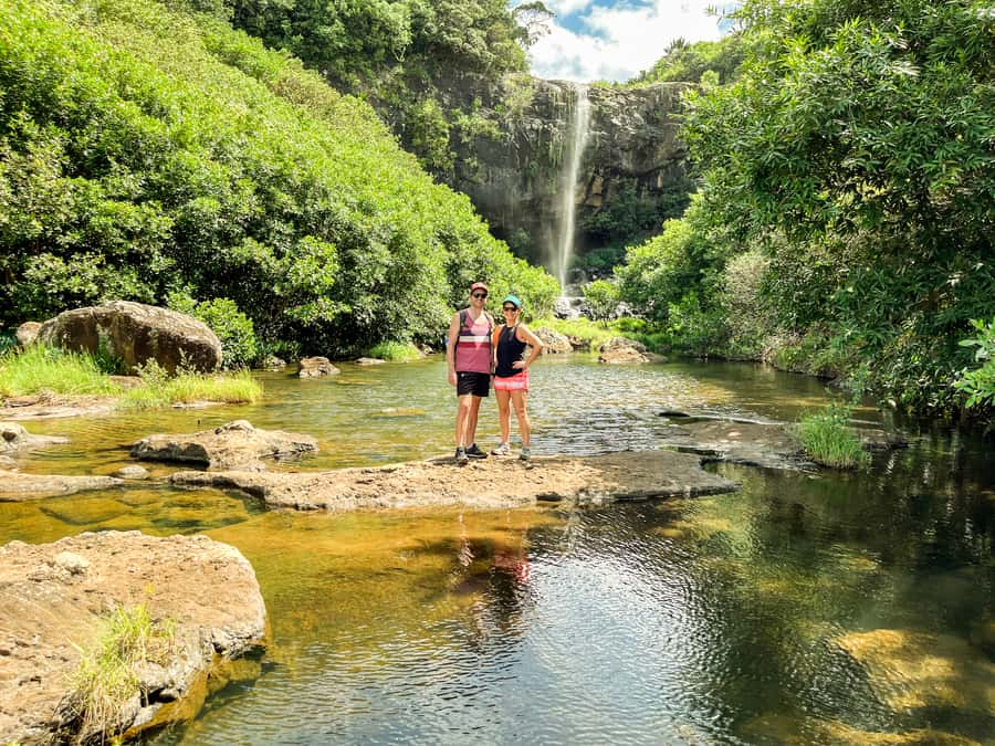 Mauritius: Exploring the Tamarind Falls with a Guide - The first rainforest steps set the tone