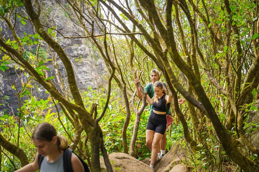 Mauritius: Exploring the Tamarind Falls with a Guide - How much value do you get for $55?