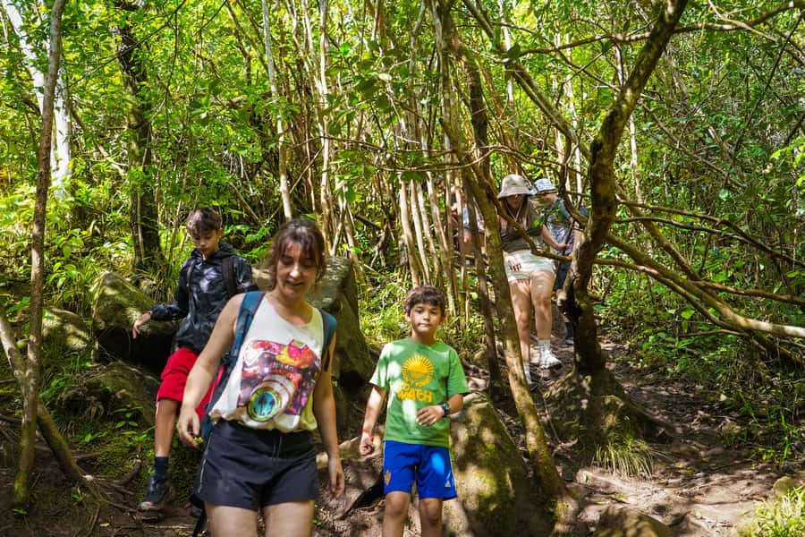 Mauritius: Exploring the Tamarind Falls with a Guide - What to pack for Tamarind Falls