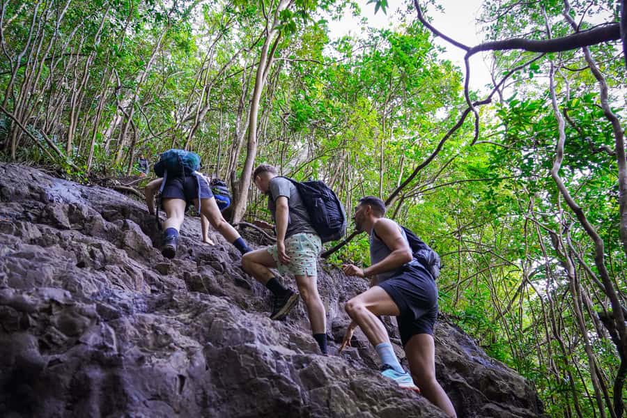 Mauritius: Exploring the Tamarind Falls with a Guide - Timing, group comfort, and route choices