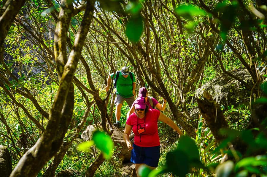 Mauritius: Exploring the Tamarind Falls with a Guide - Waterfall platforms, swimming holes, and fish spas