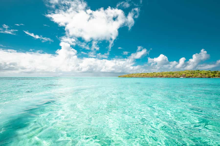 Mauritius: Full-Day Speedboat Tour to Ile aux Cerfs & BBQ - Why this speedboat day works so well