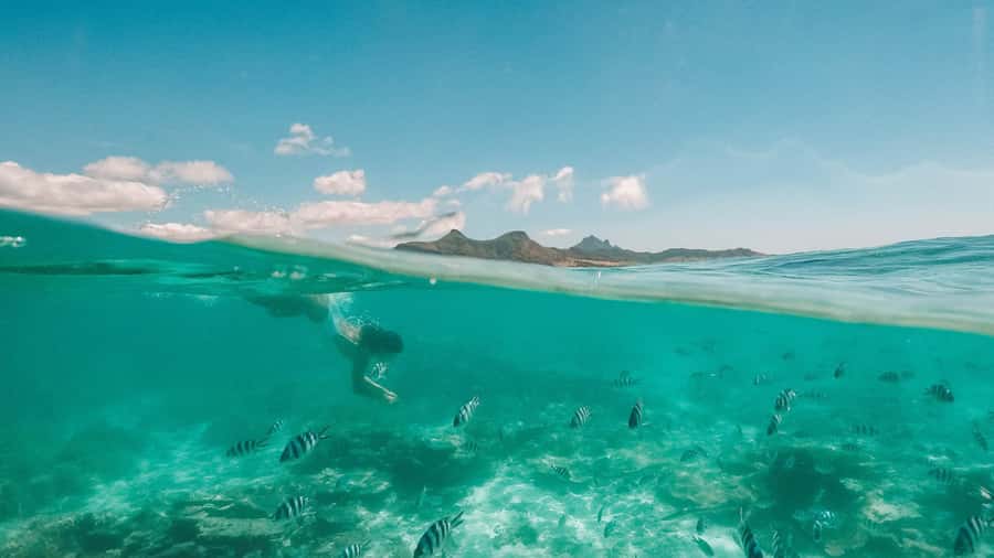 Mauritius: Full-Day Speedboat Tour to Ile aux Cerfs & BBQ - Île aux Cerfs and the beach BBQ