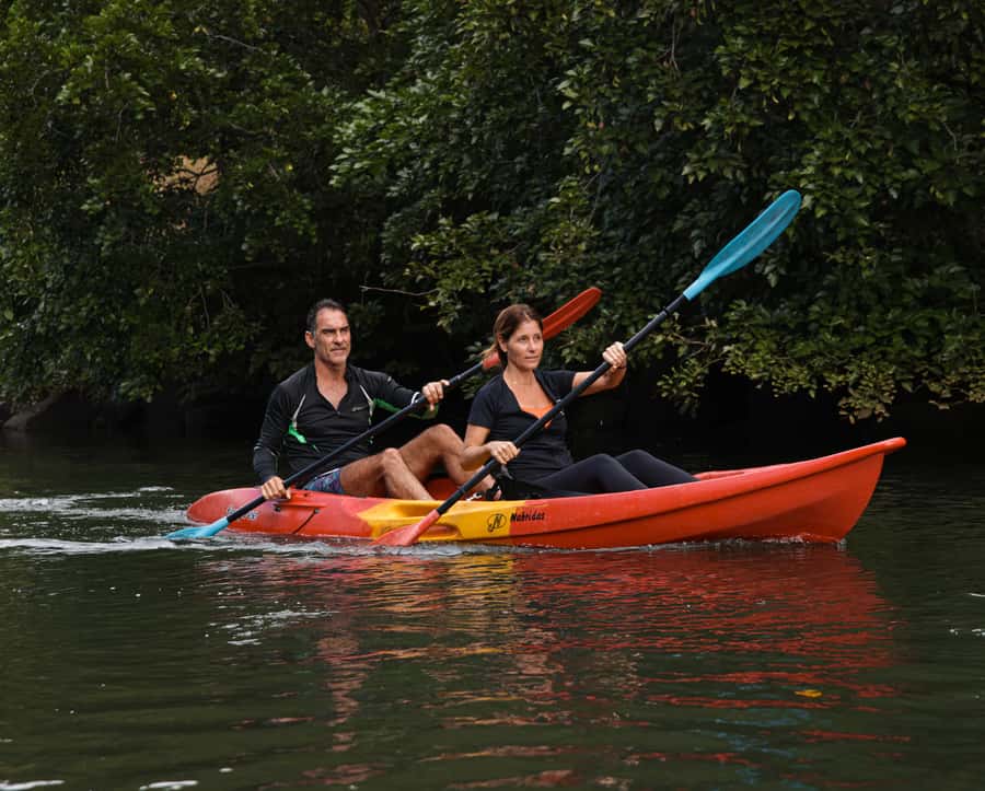 Mauritius: Guided Kayak Tour on Tamarin River - Key points to know before you book