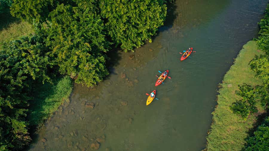 Mauritius: Guided Kayak Tour on Tamarin River - Hearing local stories as you paddle