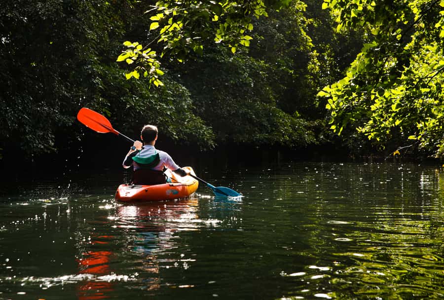 Mauritius: Guided Kayak Tour on Tamarin River - Learning the basics before the first paddle