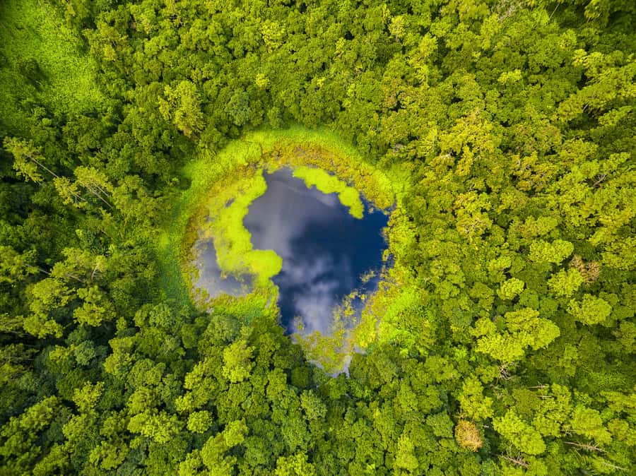 Mauritius: Guided Trip to the Southwest with Safari Tour - Mare Aux Vacoas and the island’s inland water