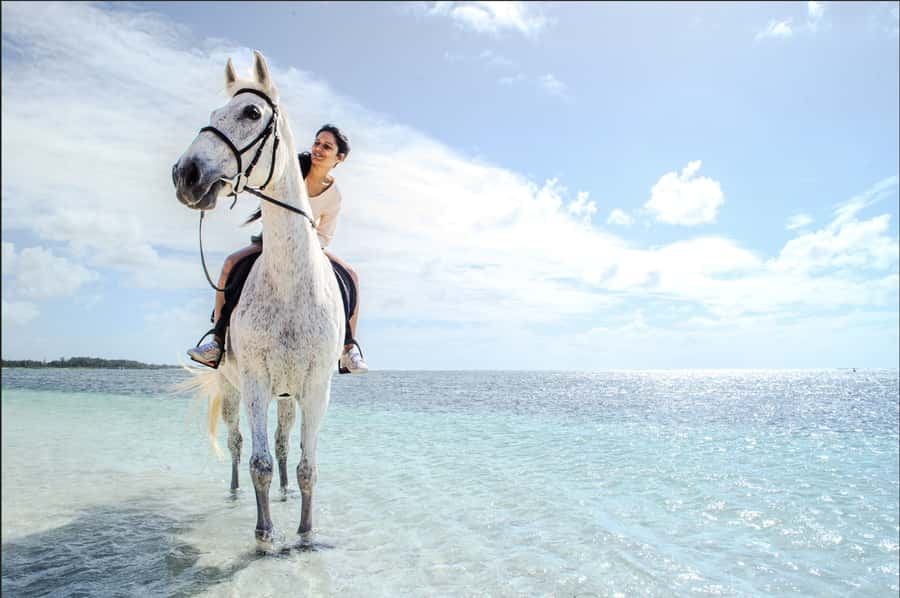 Mauritius: Horseback riding on the beach - What the Belle Mare beach ride is really like