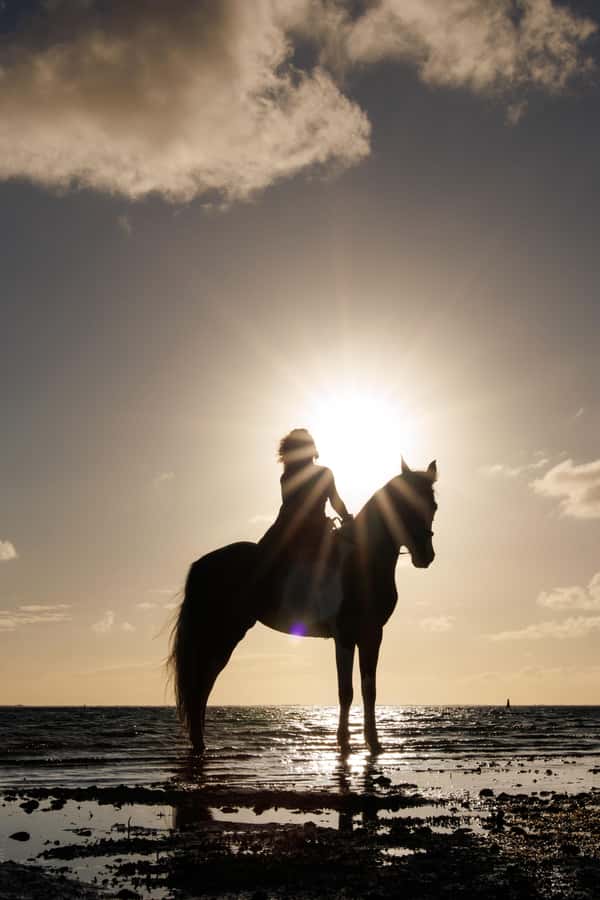Mauritius: Horseback riding on the beach - One hour beside turquoise water